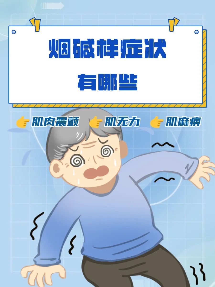 1766628115833406.jpg 4.jpg